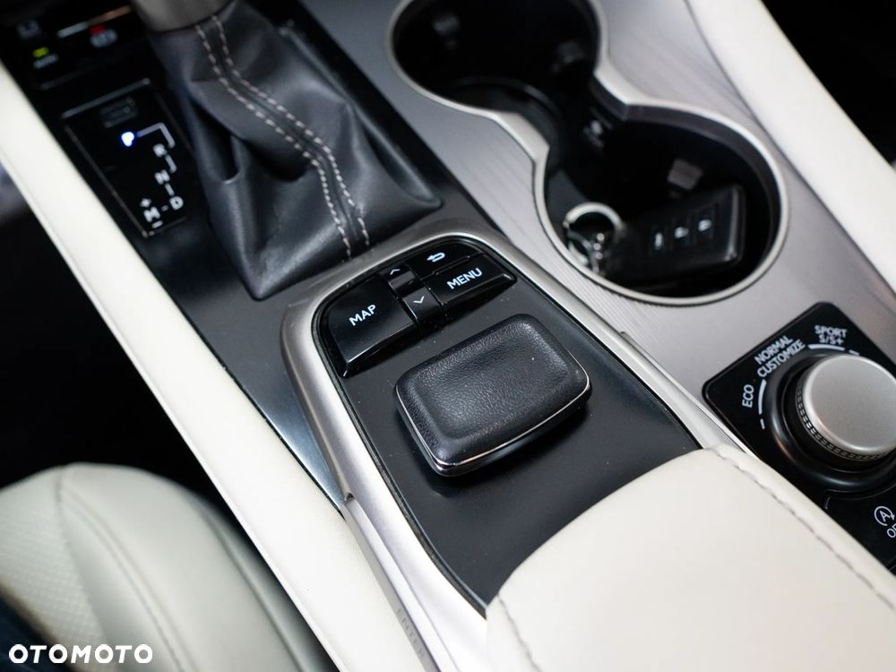 Lexus RX 200t / 300 F Sport - 23