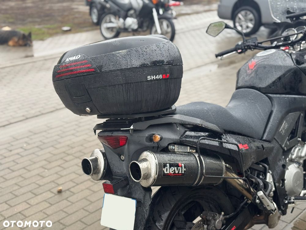 Suzuki DL - 7