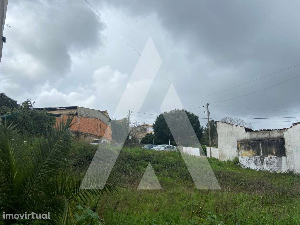 Terreno de construção em Anadia - Grande imagem: 5/10