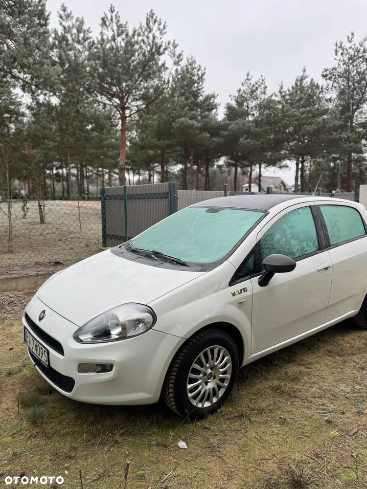 Fiat Punto 1.2 Young - 5
