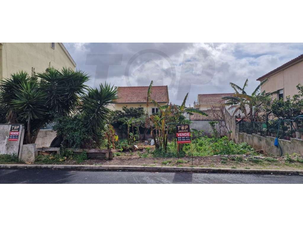 Terreno Para Construção - Estacal Novo - 99.000€ - Grande imagem: 2/4