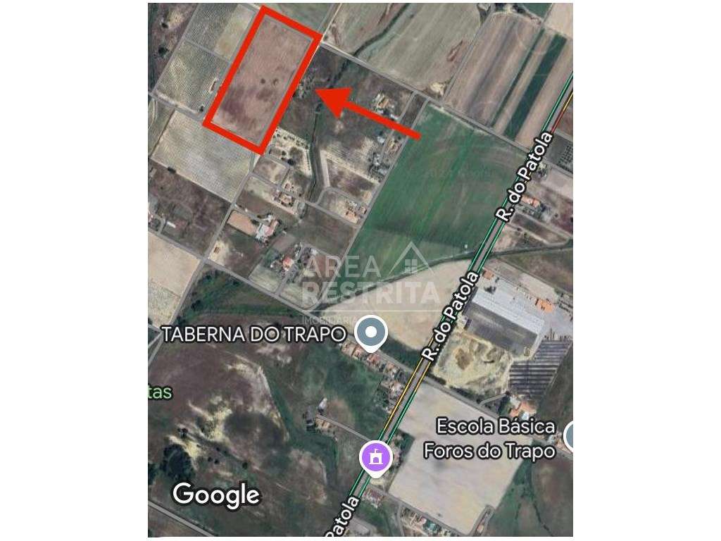 Terreno de 31250 m2 (3 ha) - Faias (Palmela) - Grande imagem: 3/24
