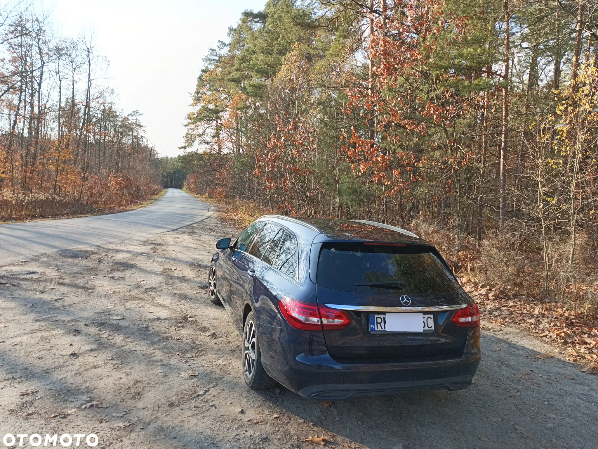 Mercedes-Benz Klasa C 200 (BlueTEC) d - 13