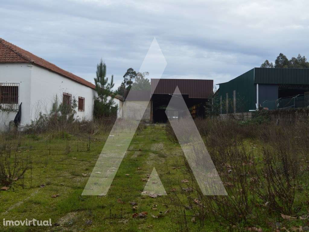 Armazém para venda em Vilarinho do Bairro - Grande imagem: 2/29