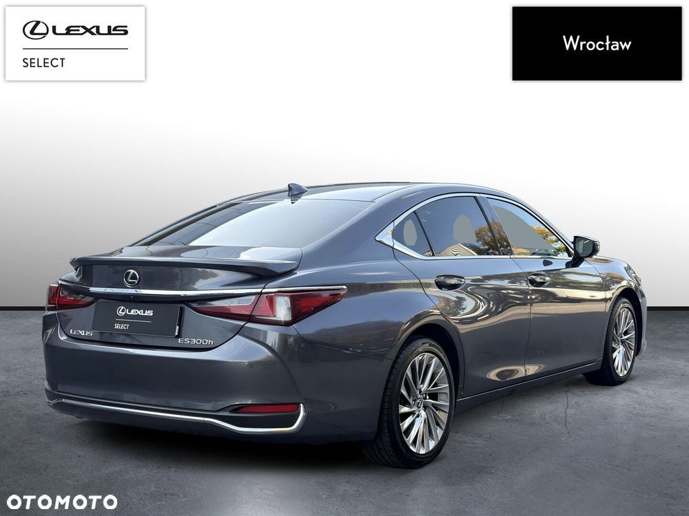Lexus ES 300h Omotenashi - 6