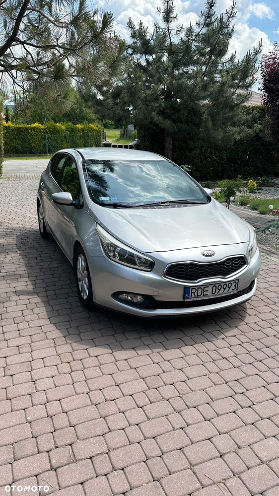 Kia Ceed - 1