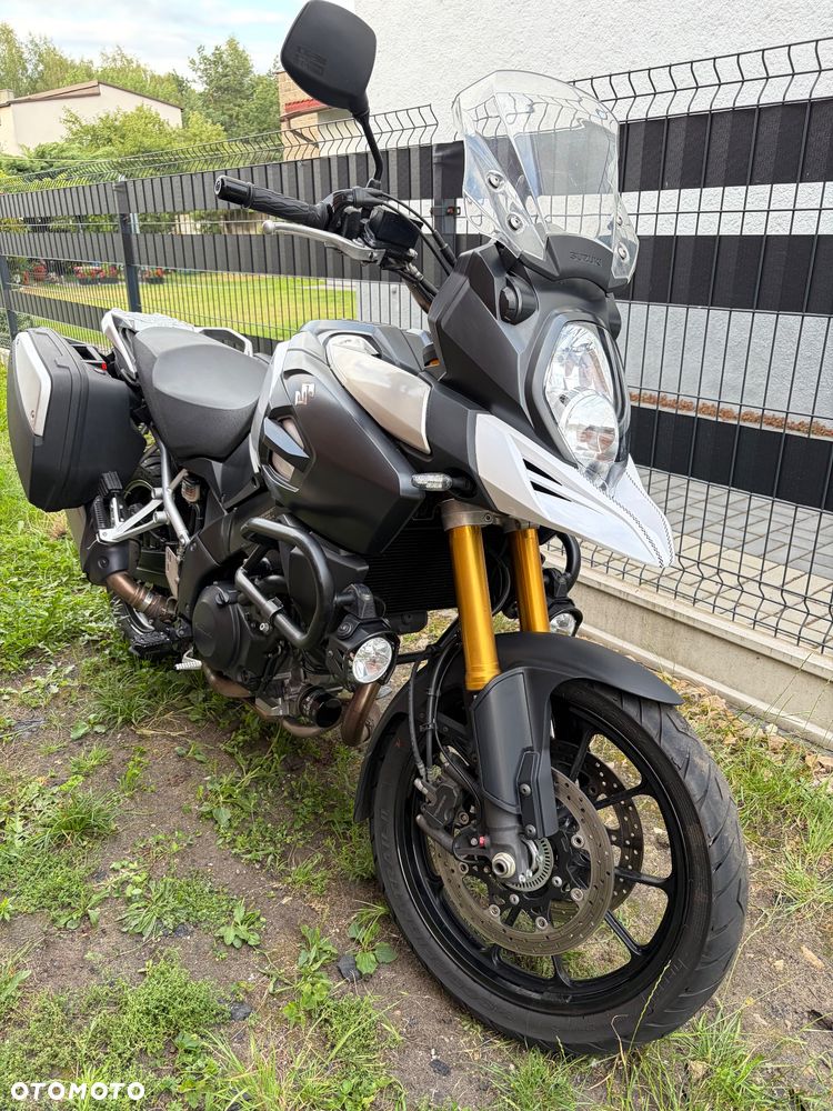 Suzuki DL - 2