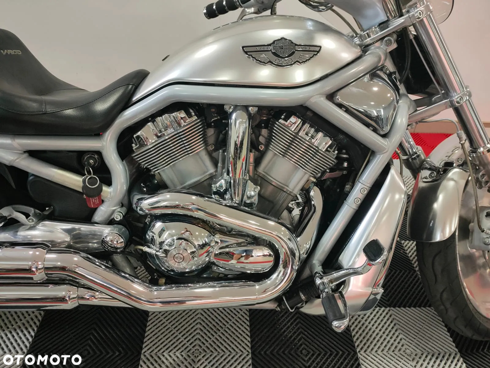 Harley-Davidson Softail V-Rod - 5