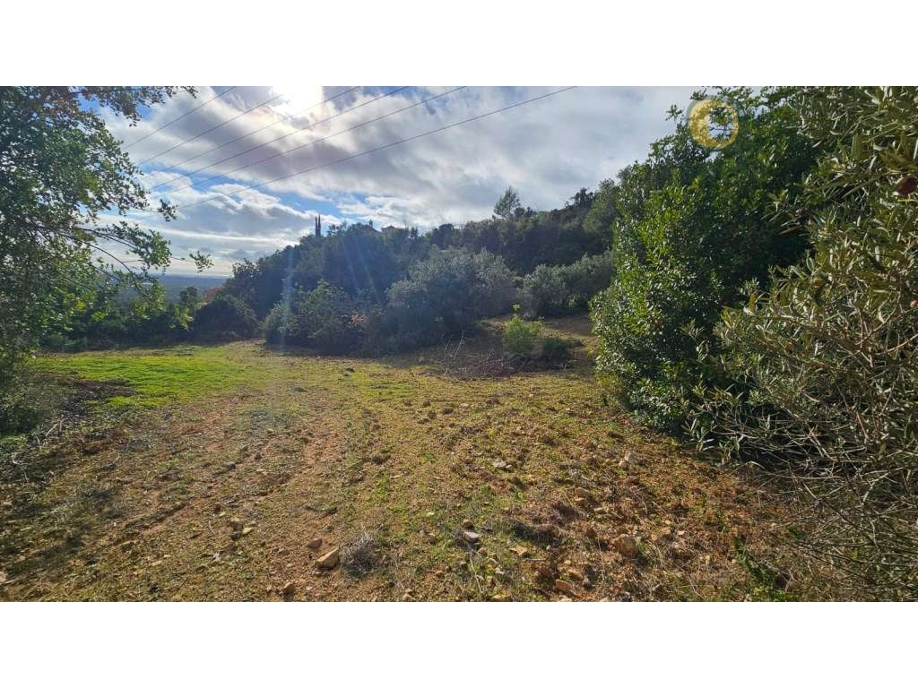 Terreno Rústico em Estoi com Poço - Grande imagem: 4/21