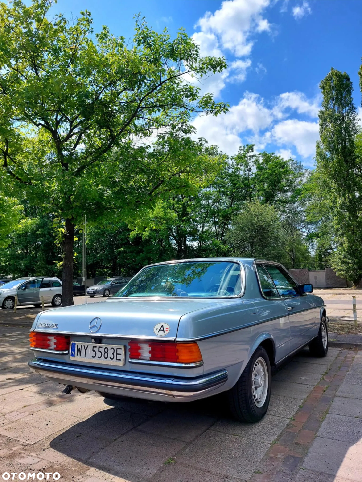 Mercedes-Benz W123 - 7