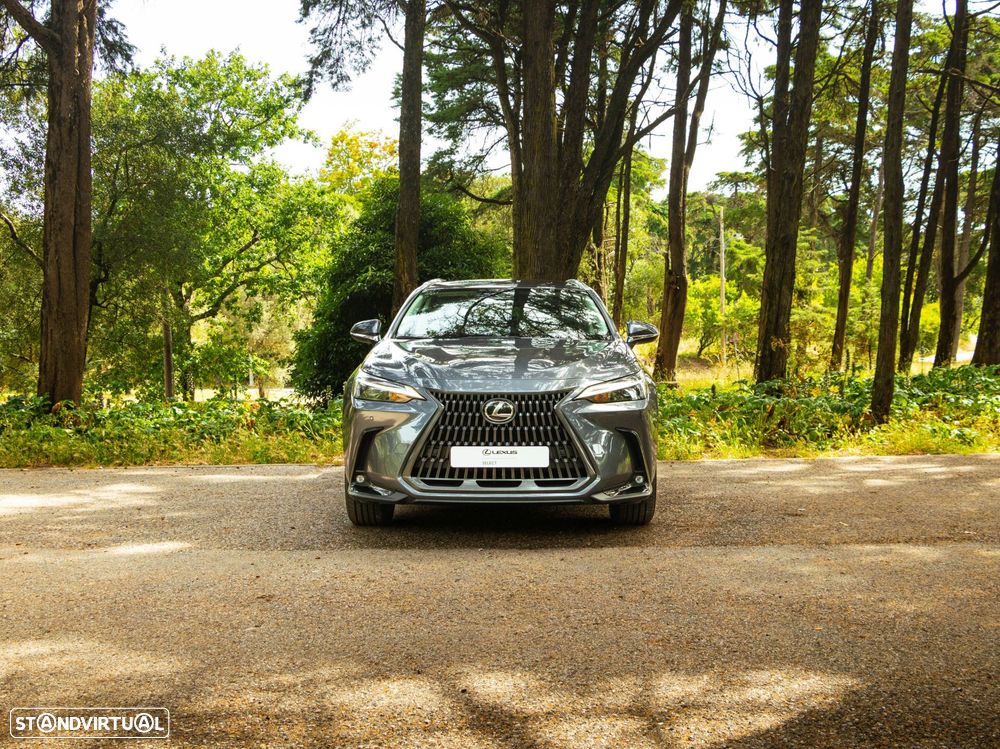 Lexus NX 450h+ Executive - 6