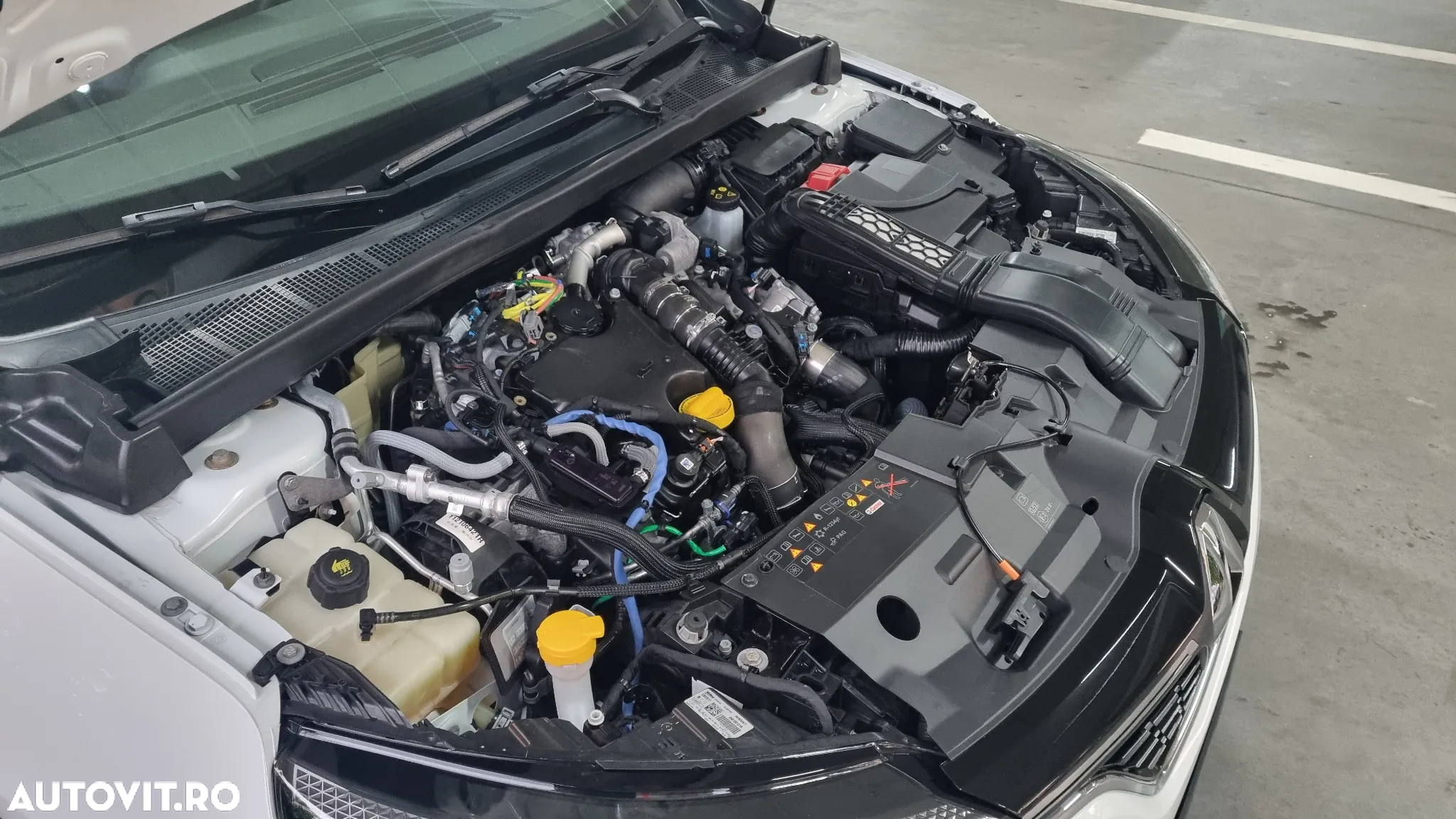 Renault Megane - 28