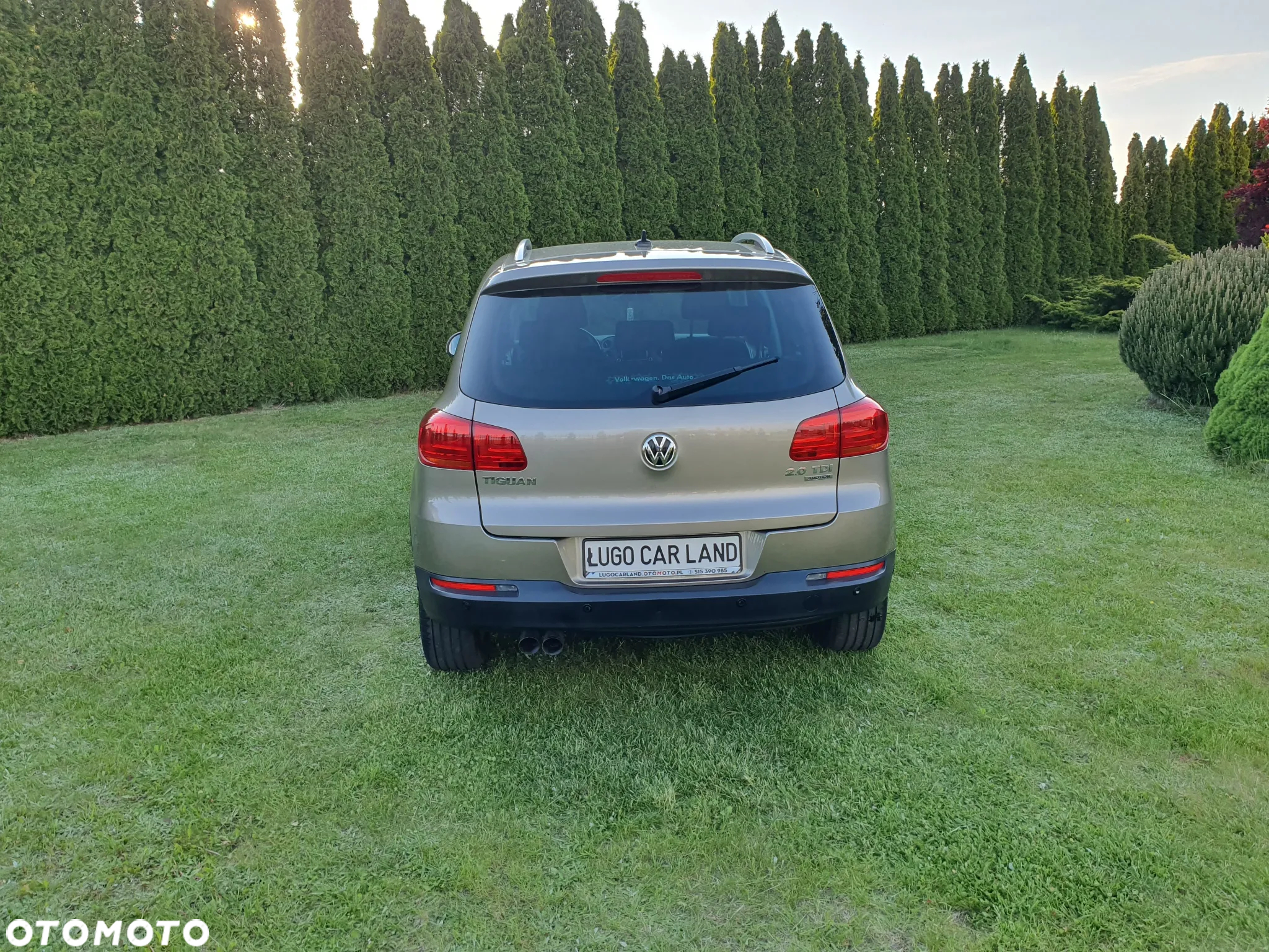 Volkswagen Tiguan 2.0 TDI 4Mot Sport&Style DSG - 6