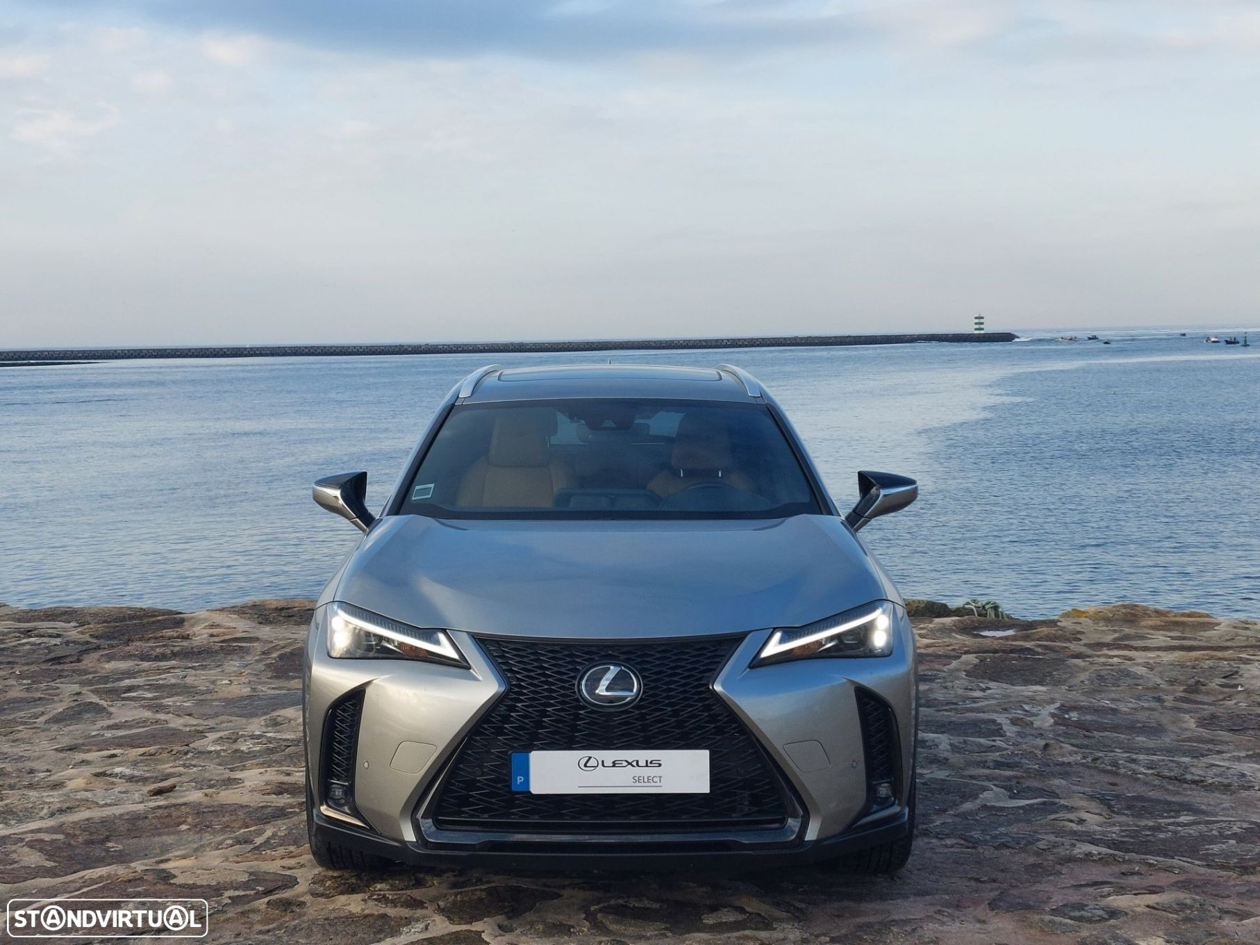 Lexus ux-250h - 9