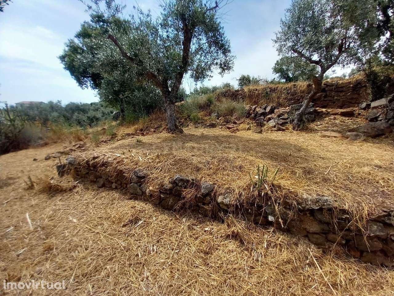 Terreno Rustico 480m2 Palvarinho - Grande imagem: 5/10