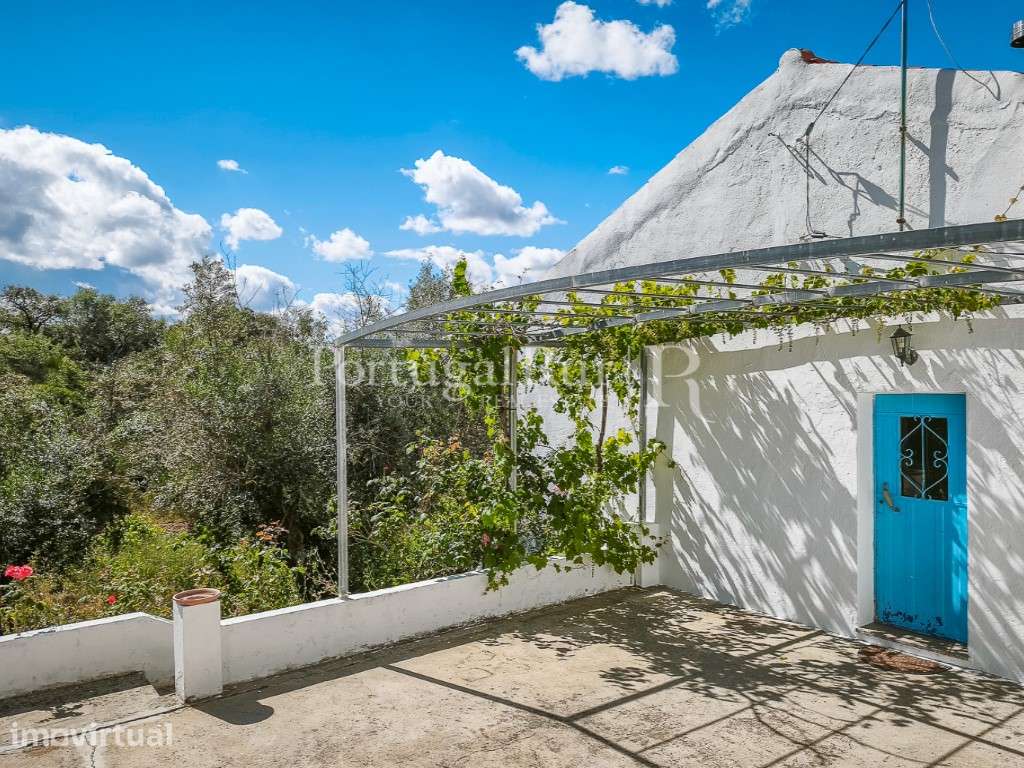 Quintinha com 1,2 hectares e Casa Rústica T2 em Pisão, Crato - Grande imagem: 4/30