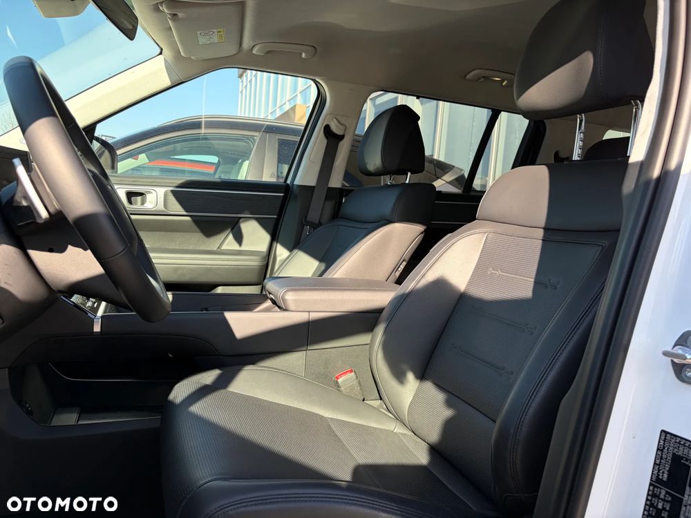 Hyundai Santa Fe - 18