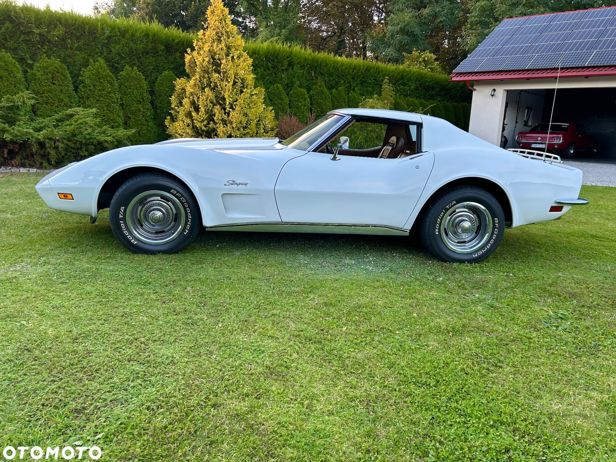 Chevrolet Corvette - 19