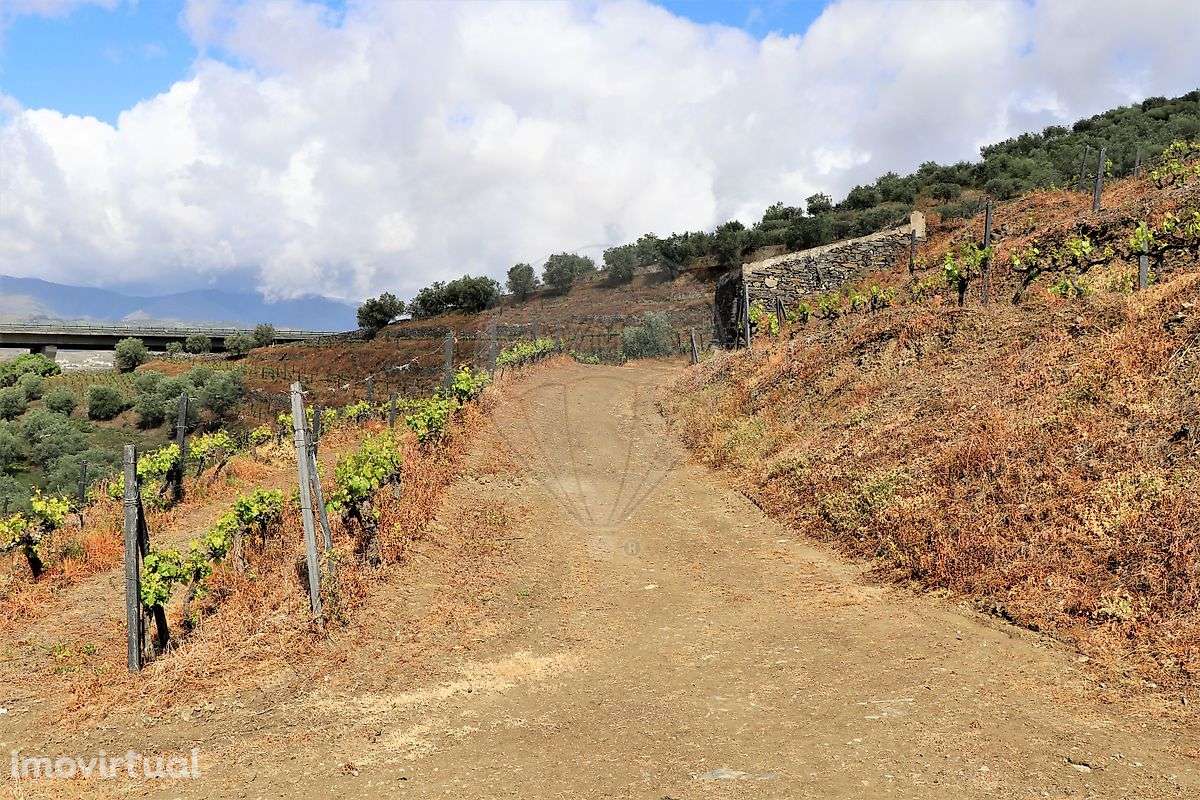 Terreno  para venda - Grande imagem: 2/22