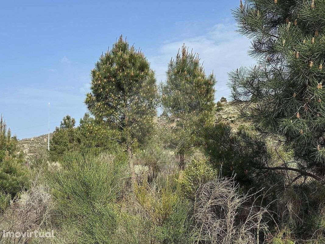 Terreno  para venda - Grande imagem: 5/6