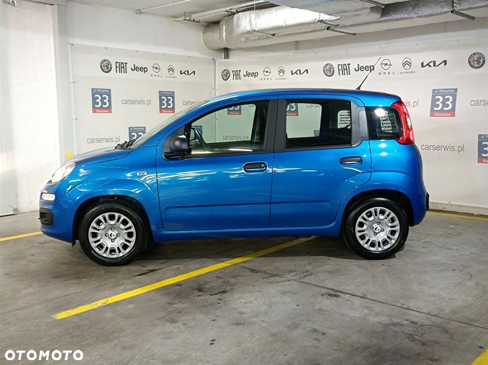 Fiat Panda - 2