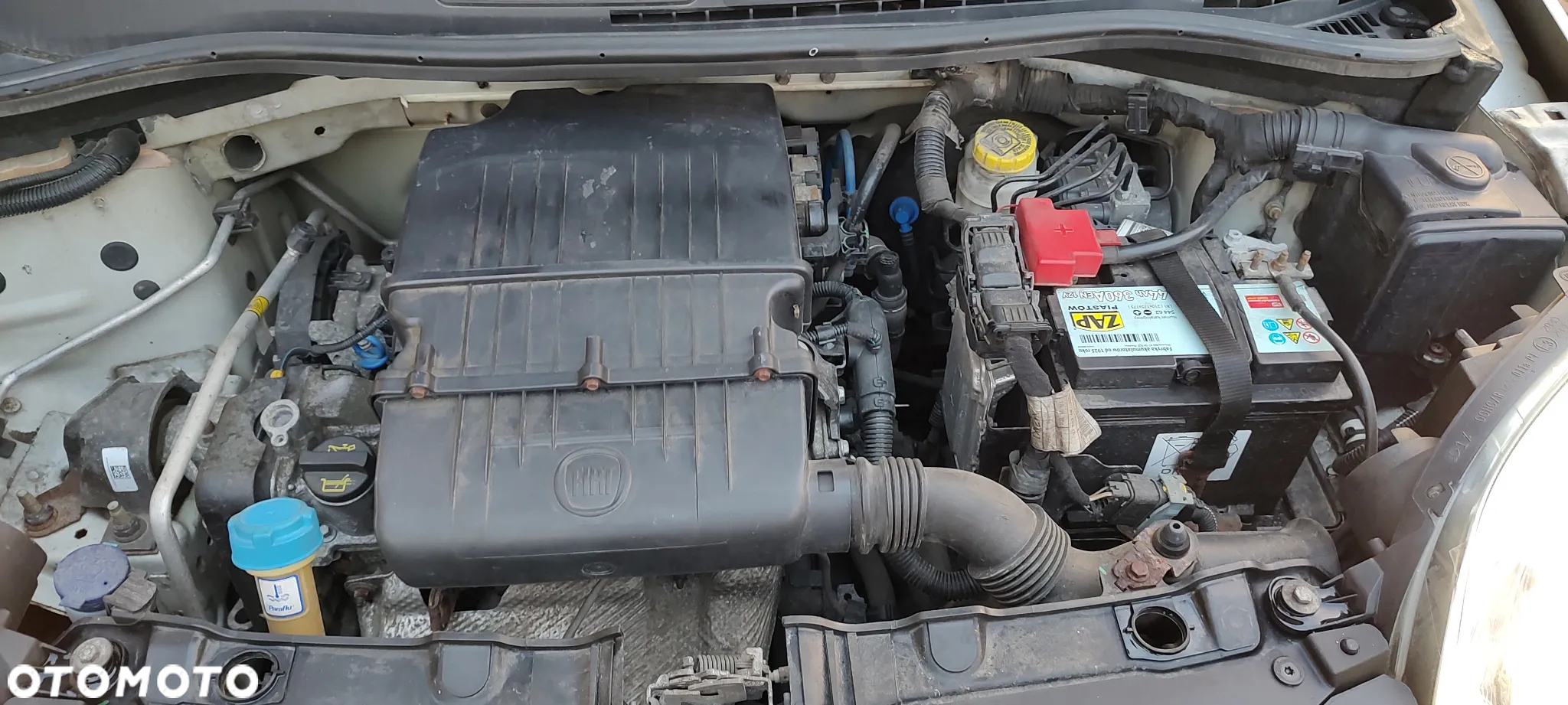 Fiat Panda - 16