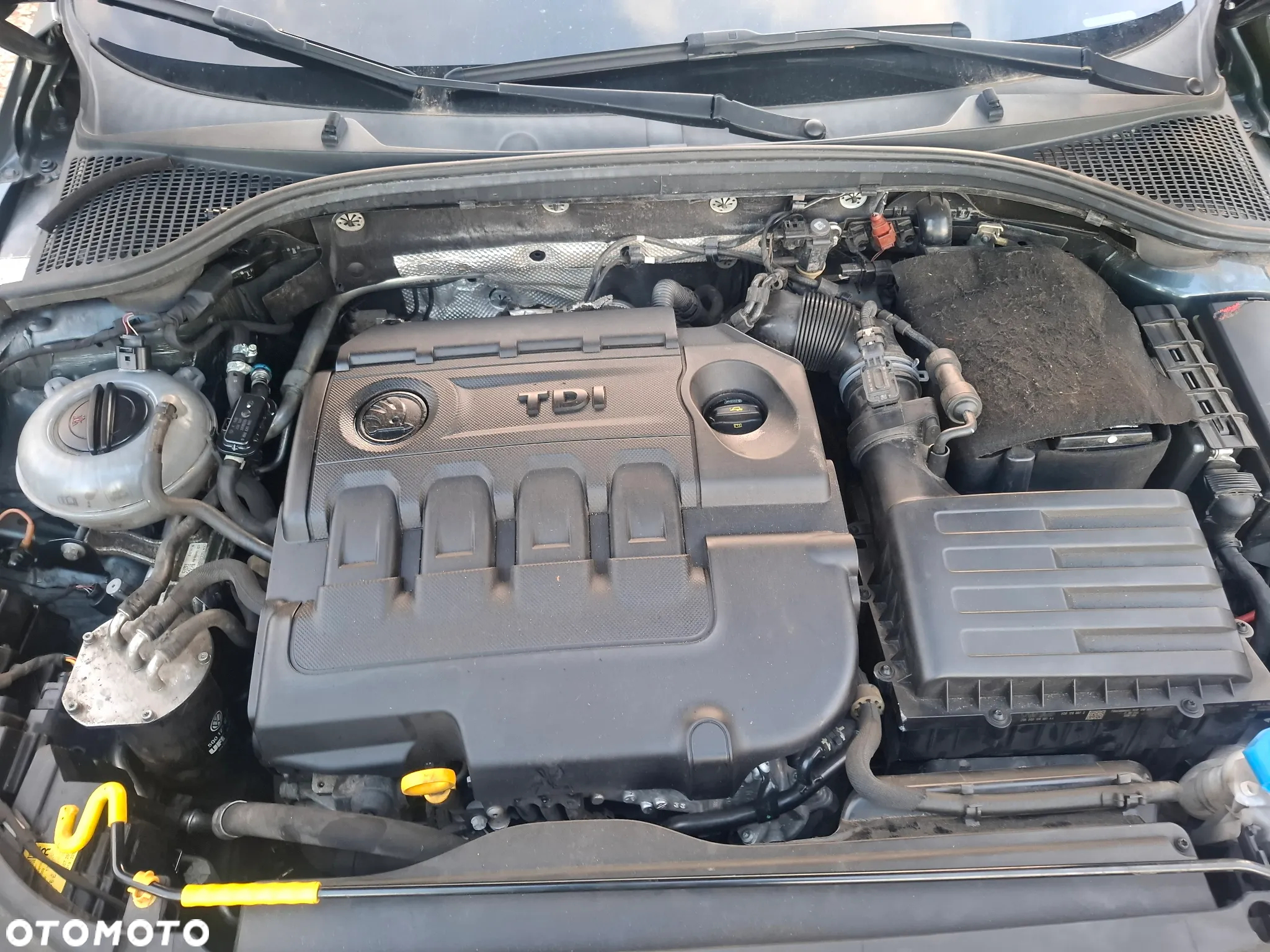 Skoda Octavia - 10
