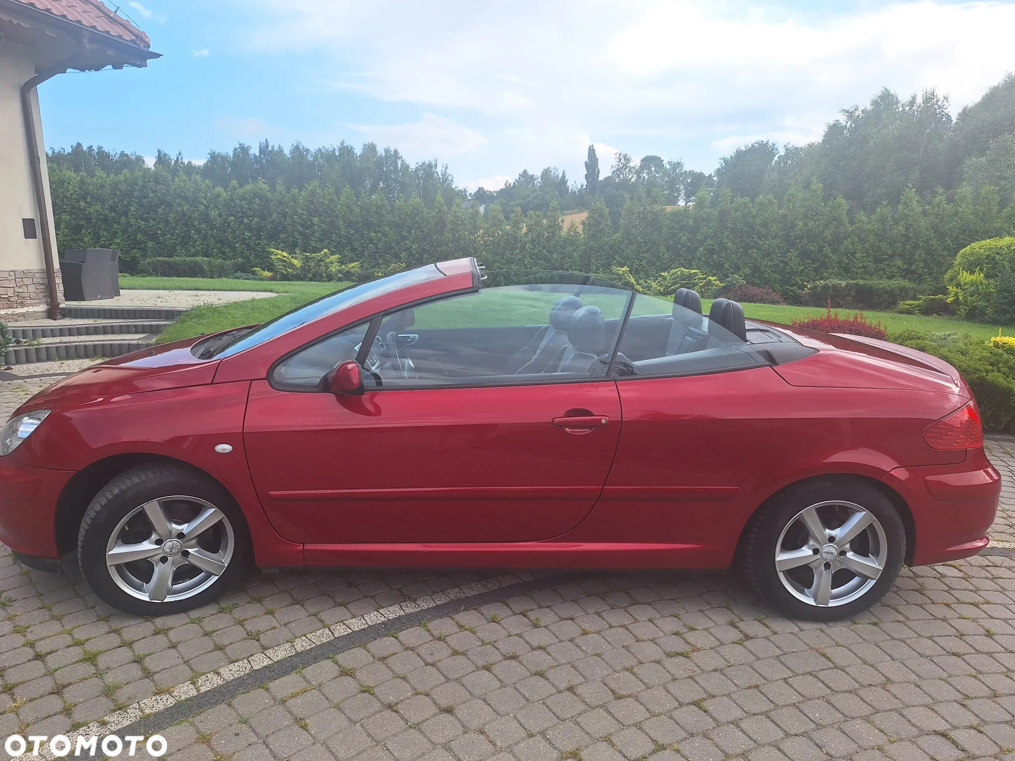 Peugeot 307 CC 2.0 - 6