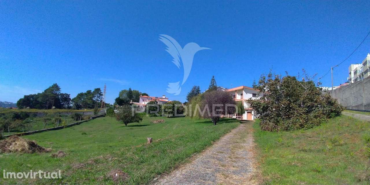 Terreno com vistas Douro (encosta do douro) - Grande imagem: 4/7