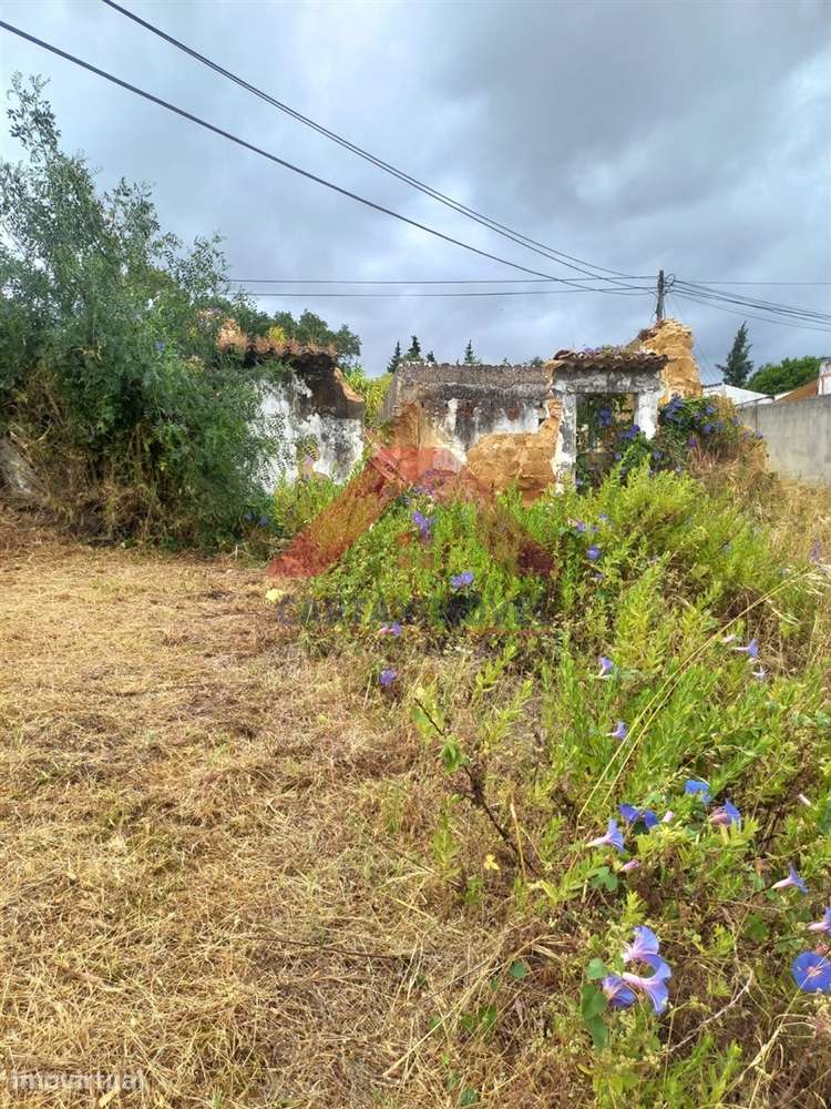 Terreno Para Construção  Venda em Vale de Santarém,Santarém - Grande imagem: 3/9