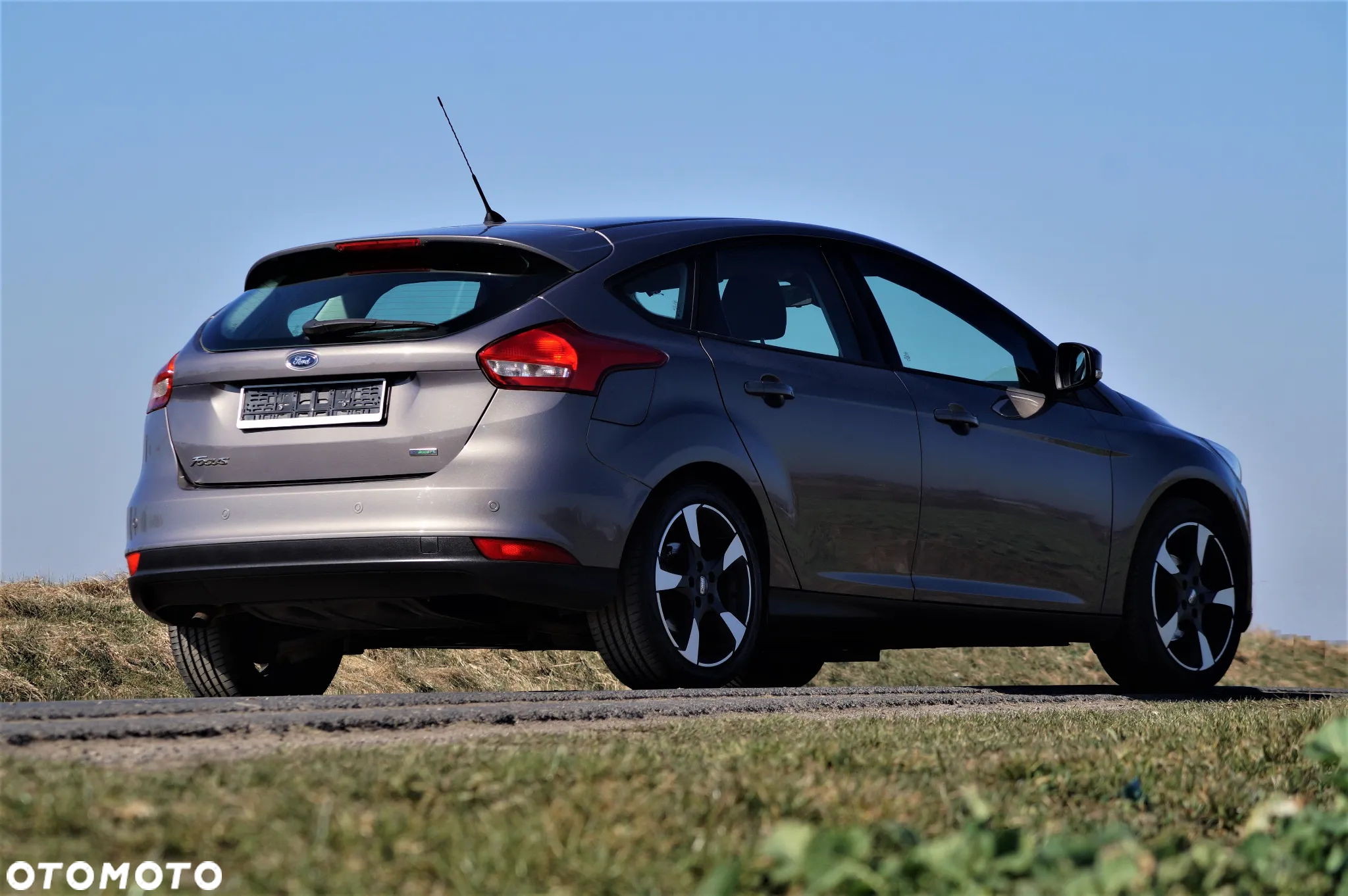 Ford Focus - 13