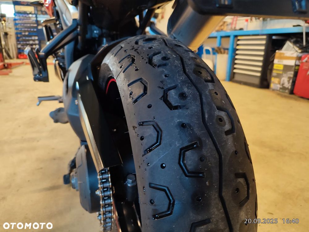Triumph Tiger - 21