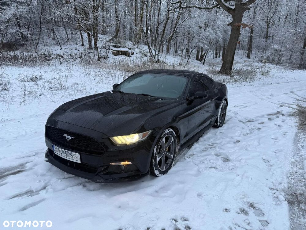 Ford Mustang 3.7 V6 - 1