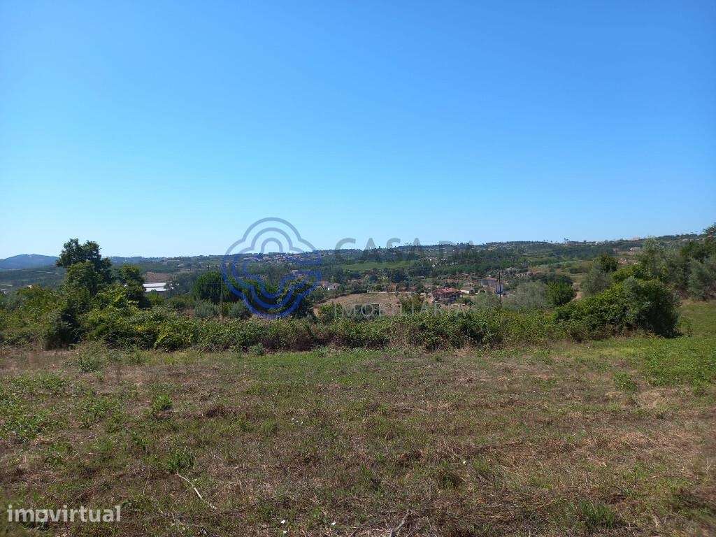 Terreno agrícola com 4.280 m2 a 5 minutos da Aldeia de Dornes, centro - Grande imagem: 3/21