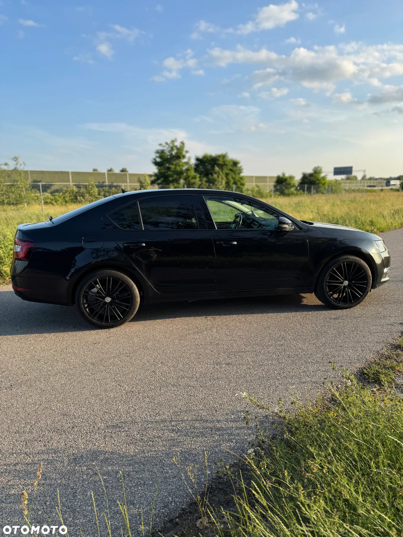 Skoda Octavia 1.5 TSI ACT Ambition DSG - 6