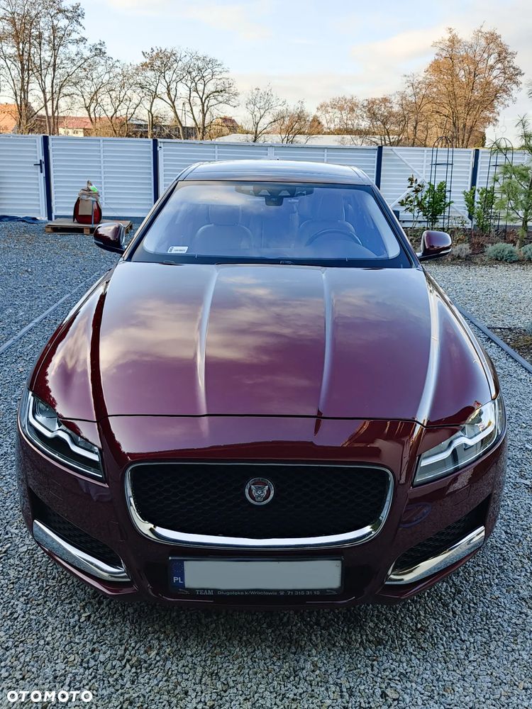Jaguar XF - 5