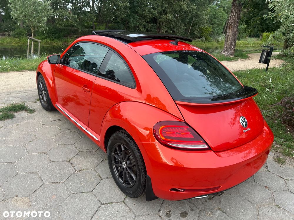 Volkswagen Beetle - 17