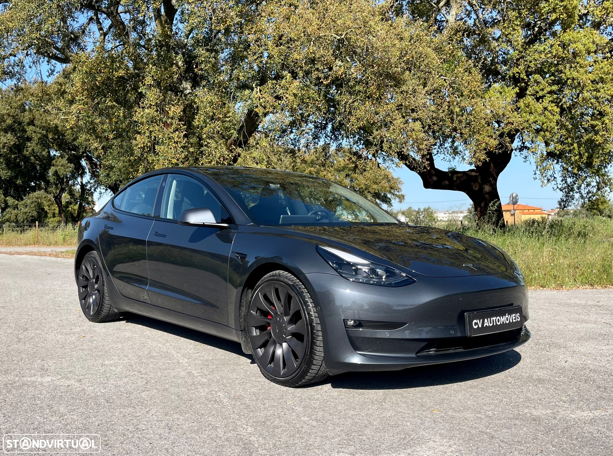 Tesla Model 3 Performance Dual Motor AWD - 4