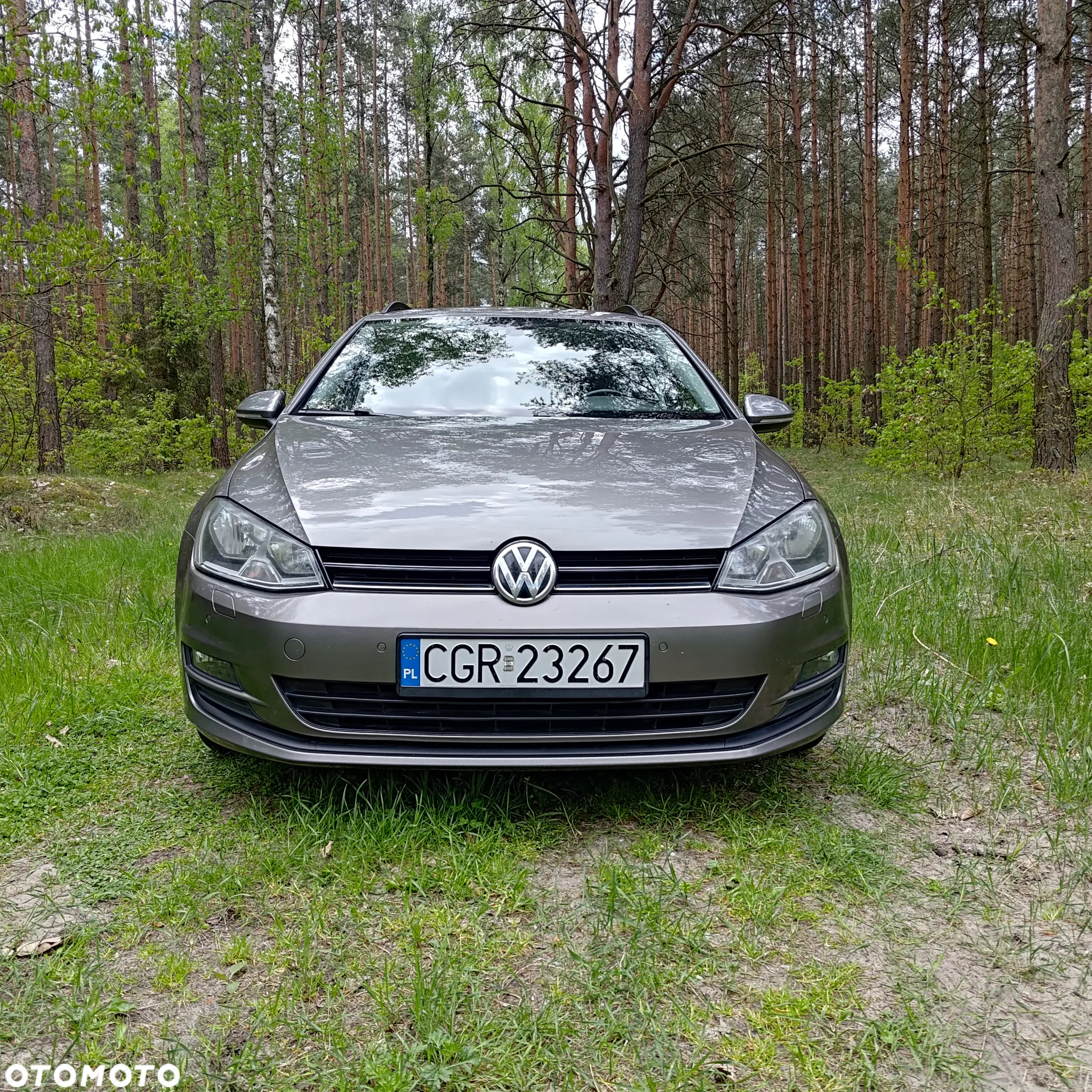 Volkswagen Golf - 3