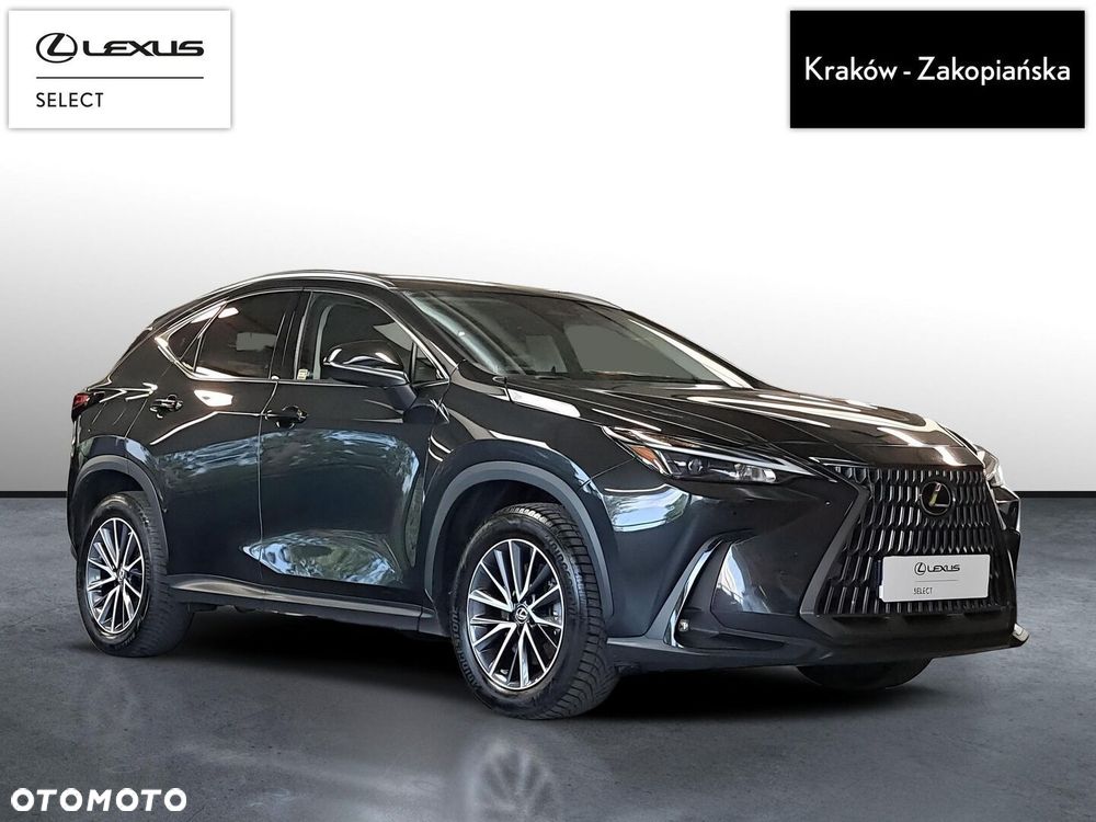 Lexus NX - 8