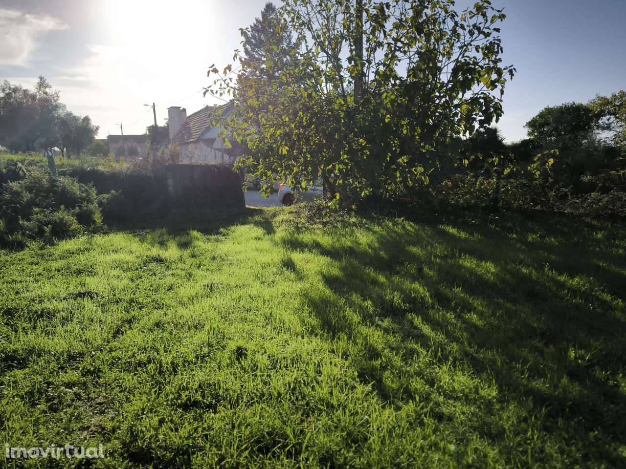 Terreno  Venda em Oliveira do Conde,Carregal do Sal - Grande imagem: 5/17