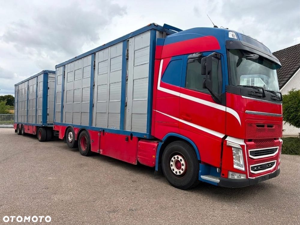 Volvo FH 500 GLOBETROTTER XL 6x2 | MENKE 3-POZIOMY | KOMPLETNY ZESTAW DO TRANSPORTU ZWIERZĄT - 3