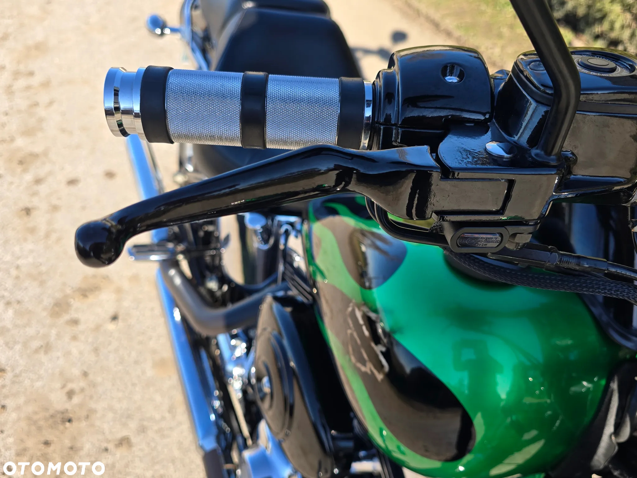 Harley-Davidson Softail Custom - 19