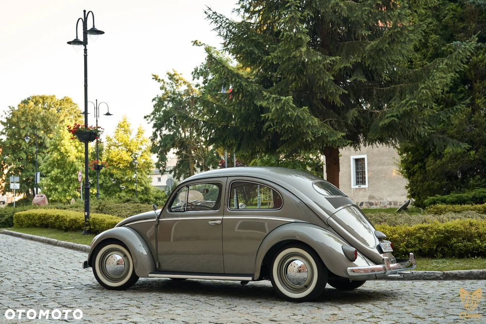 Volkswagen Garbus - 6