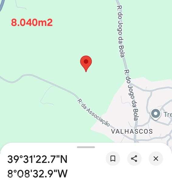 Terreno rústico de 8.040m2 com Pinheiros, Oliveiras, Sobreiros - Grande imagem: 2/5