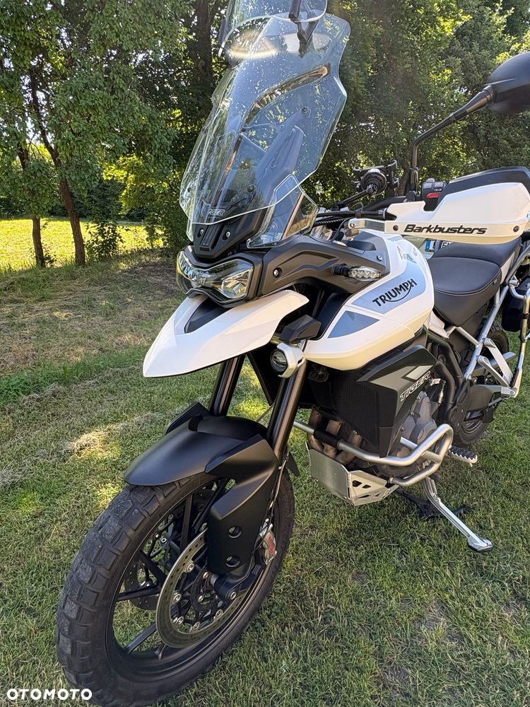 Triumph Tiger - 15