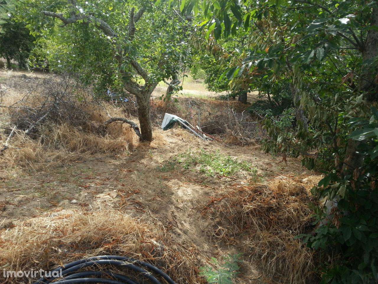 Terreno de cultivo em Póvoa de Penela, Penedono - Grande imagem: 5/6