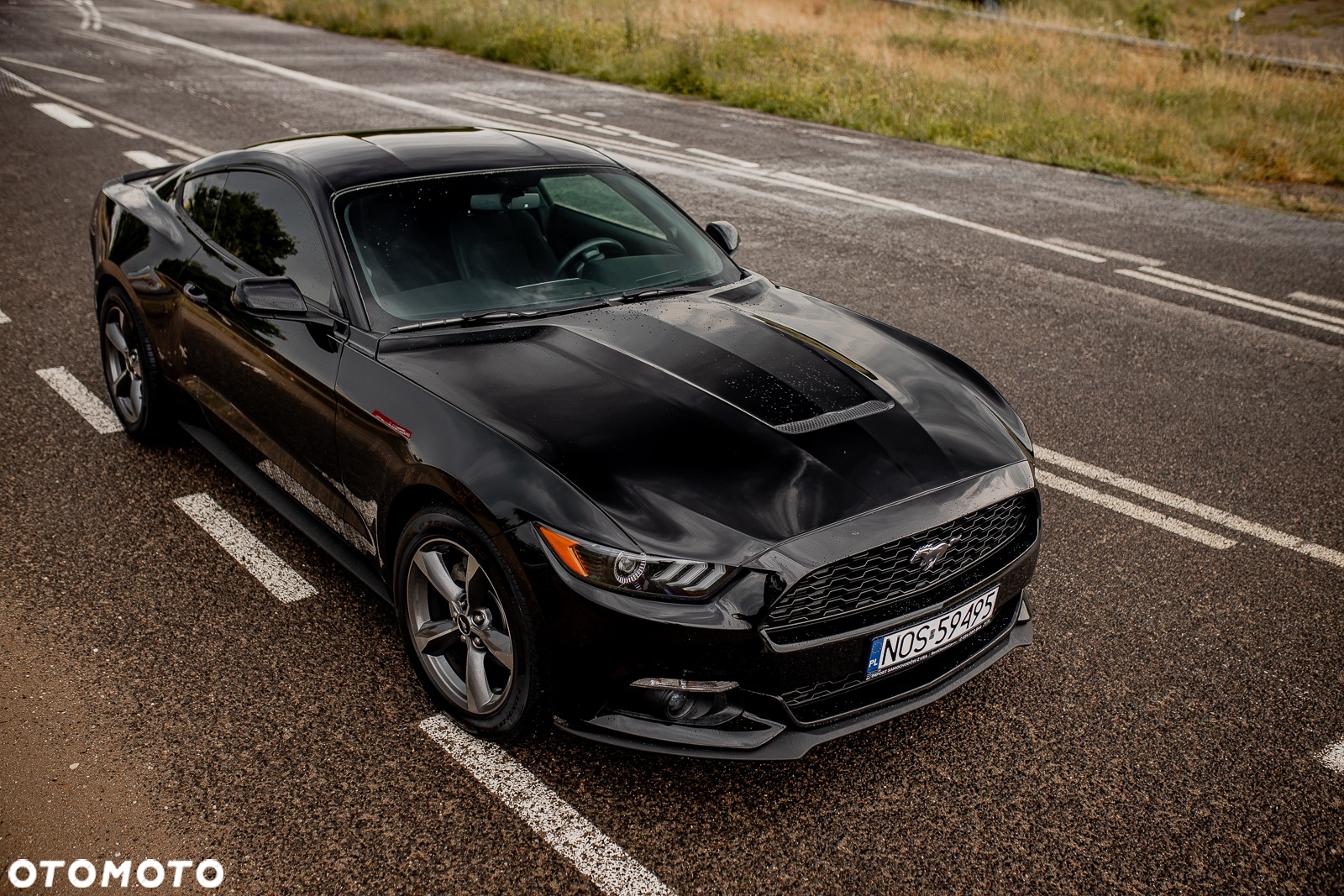 Ford Mustang 2.3 EcoBoost - 10