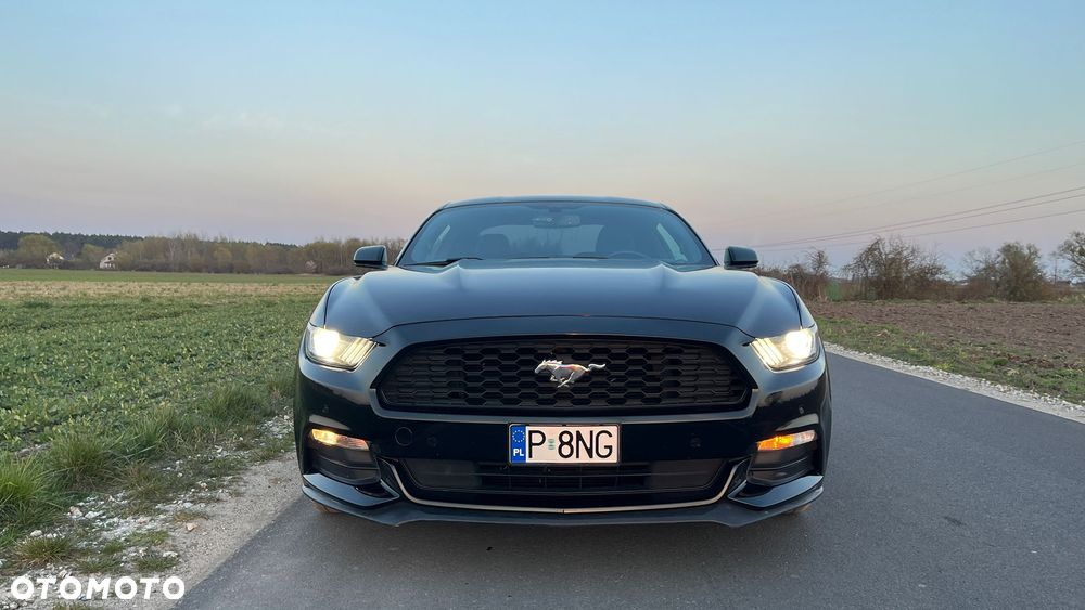 Ford Mustang 3.7 V6 - 18