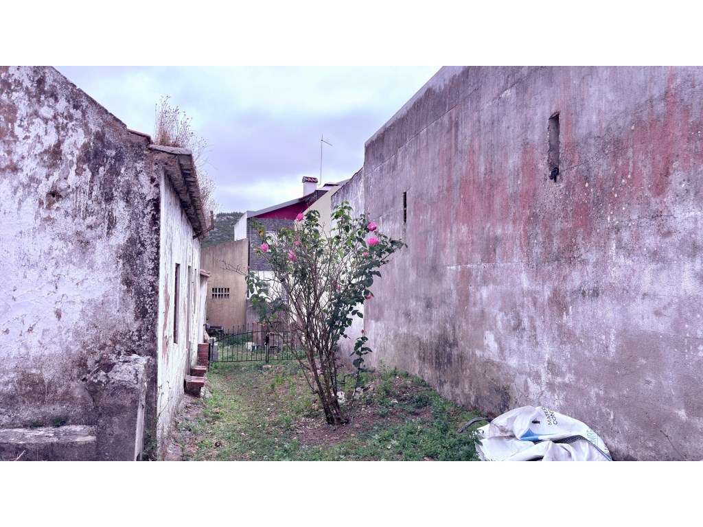 Antiga Adega com grande potencial para venda na Maceira - Grande imagem: 5/8